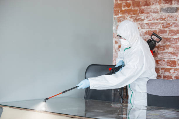 Best Industrial Mold Remediation  in Maeser, UT